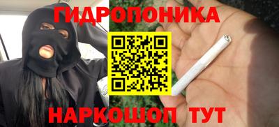 сатива Кумертау