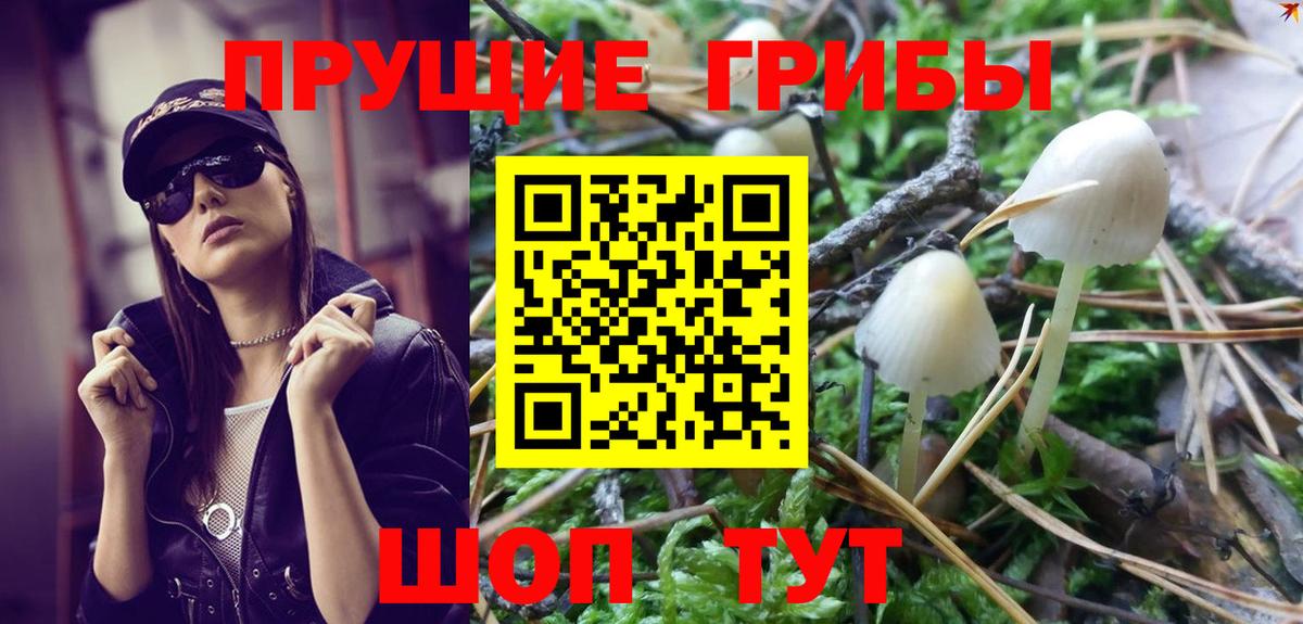 Галлюциногенные грибы Psilocybe  Вход с VPN  Электрогорск 